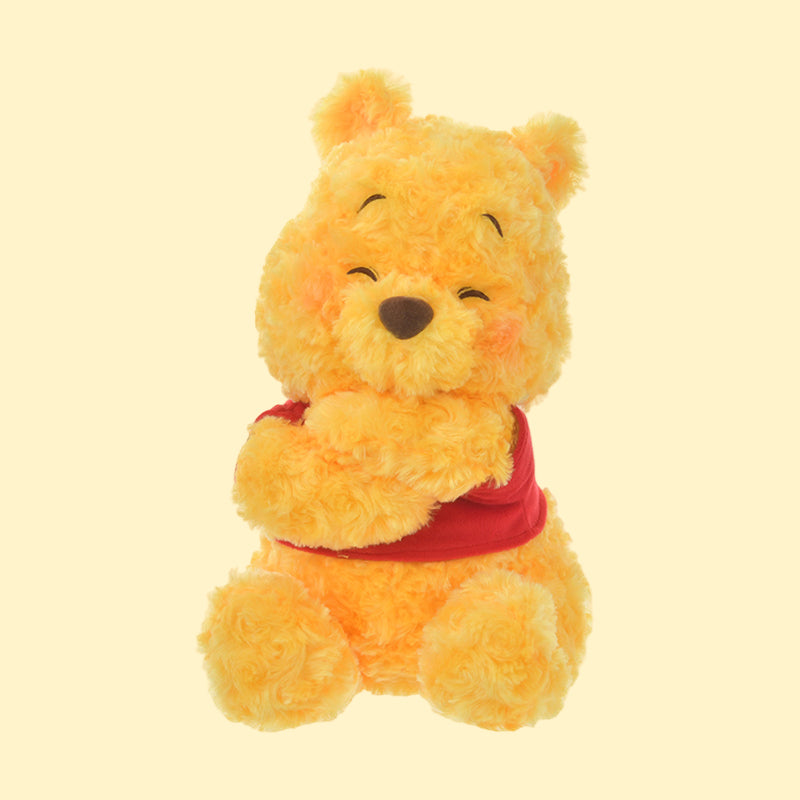 小熊維尼 抱抱毛公仔